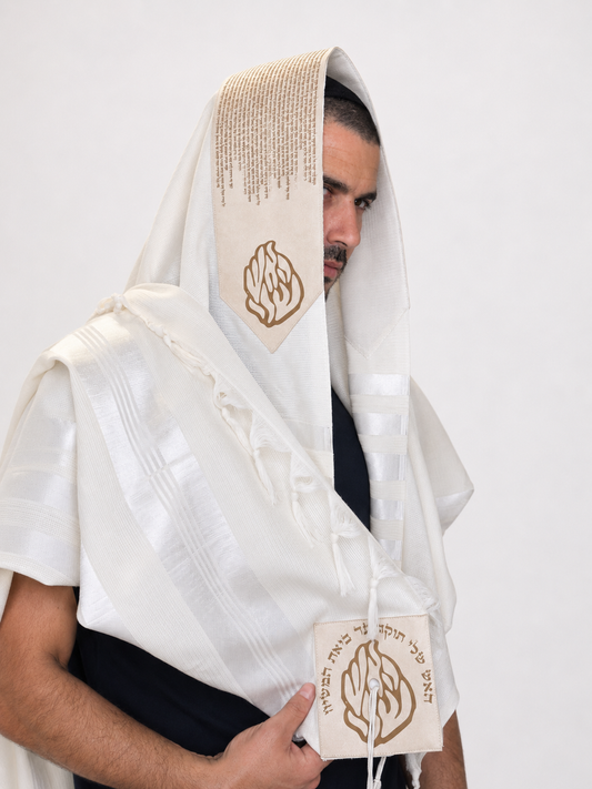 דגם תיקון הכללי